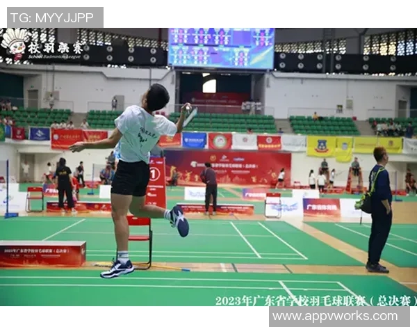 深圳羽毛球队战术表现数据分析与策略优化探讨