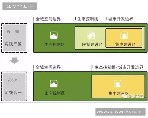 深圳飞盘队的战术控制分析与发展趋势探讨 深圳飞盘队的战术控制分析与发展趋势探讨