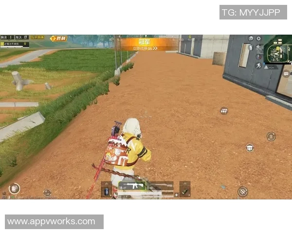 深度探讨黄秀英在和平精英中的成长与人生哲学