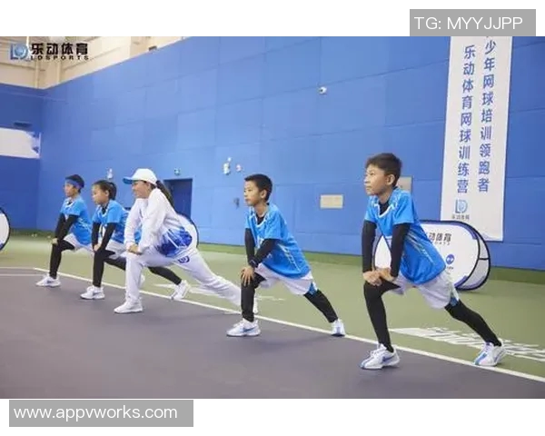 西安网球队的包夹战术解析与深度剖析网球竞技的魅力与挑战