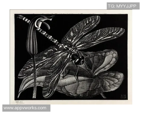 加莱诺的艺术世界探索与文化影响力的深度剖析 加莱诺的艺术世界探索与文化影响力的深度剖析