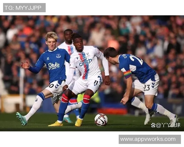 卡迪夫城主场迎战埃弗顿双方争夺英超宝贵积分之战