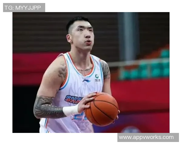 陶汉林:从篮球场上的拼搏者到社会公益的践行者的精彩人生旅程 陶汉林:从篮球场上的拼搏者到社会公益的践行者的精彩人生旅程