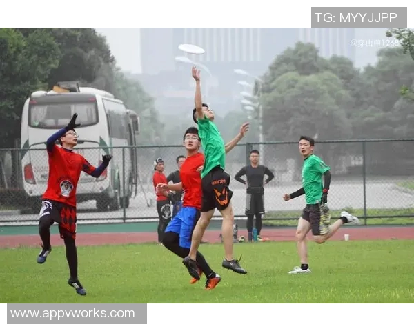 飞盘逆袭:深圳飞盘队的奋斗与荣耀之路全纪录 飞盘逆袭:深圳飞盘队的奋斗与荣耀之路全纪录
