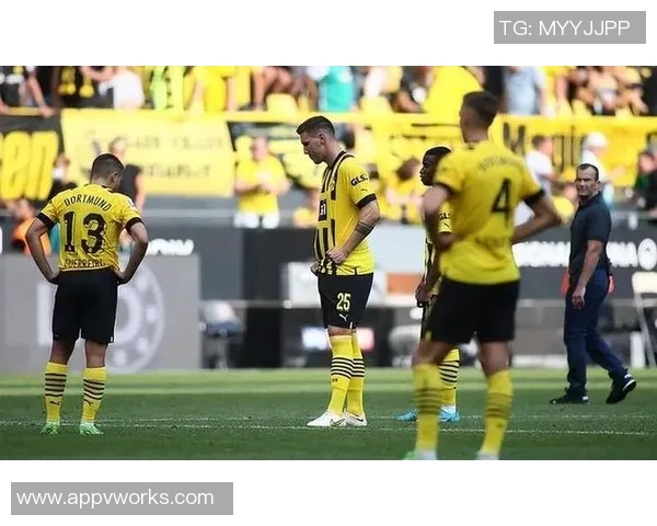 不来梅与多特蒙德对决前瞻及比赛结果预测分析