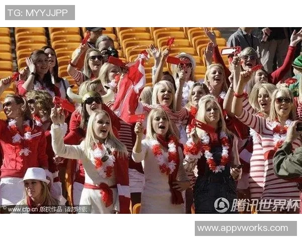 丹麦与瑞典友谊赛激战正酣球迷期待精彩对决与精彩进球